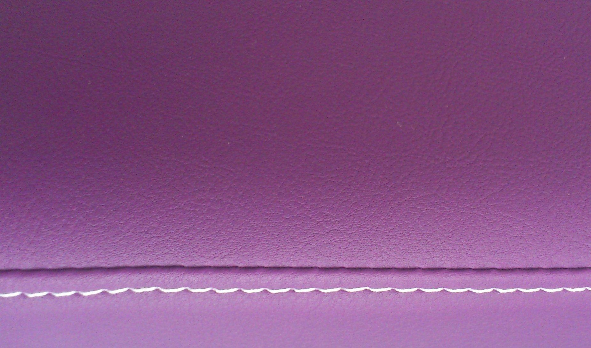 Sellerie simple